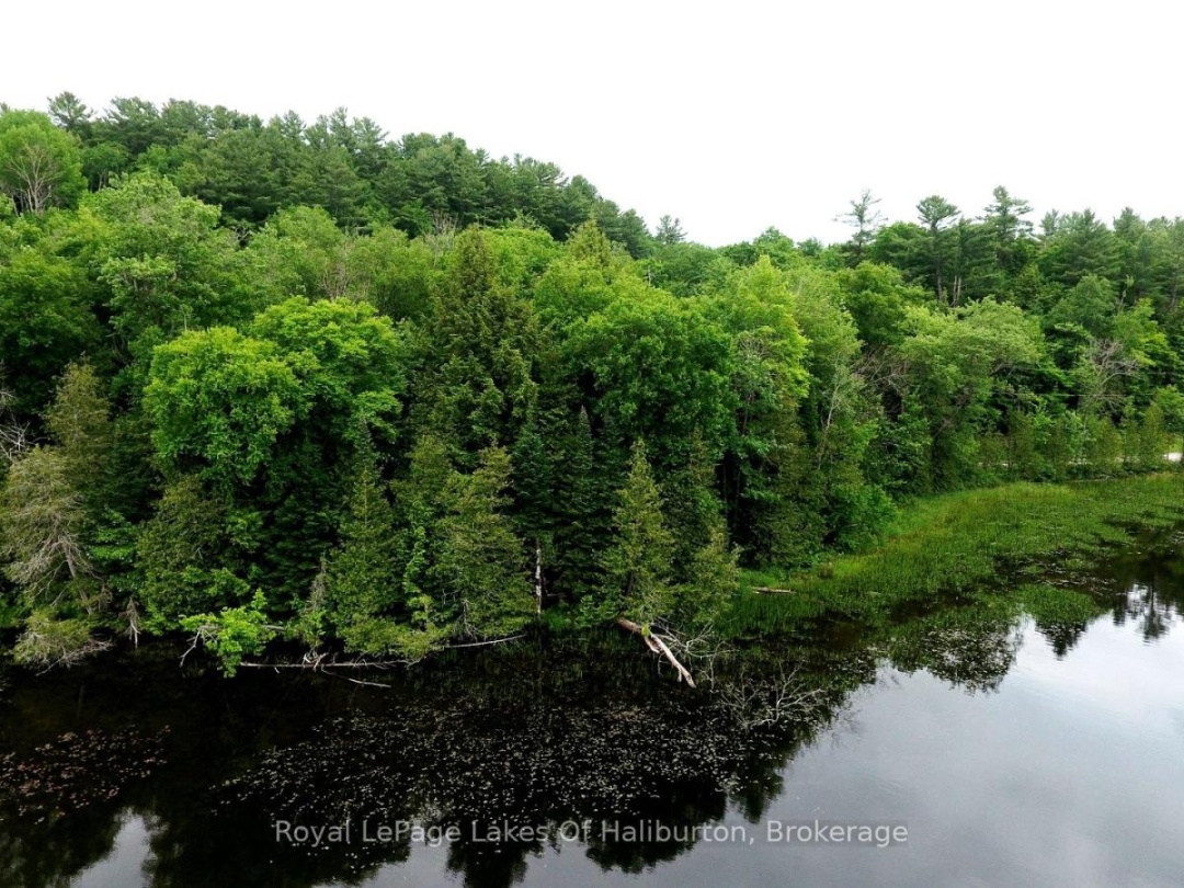 0 South Beaver Lake Lane, Moore Lake