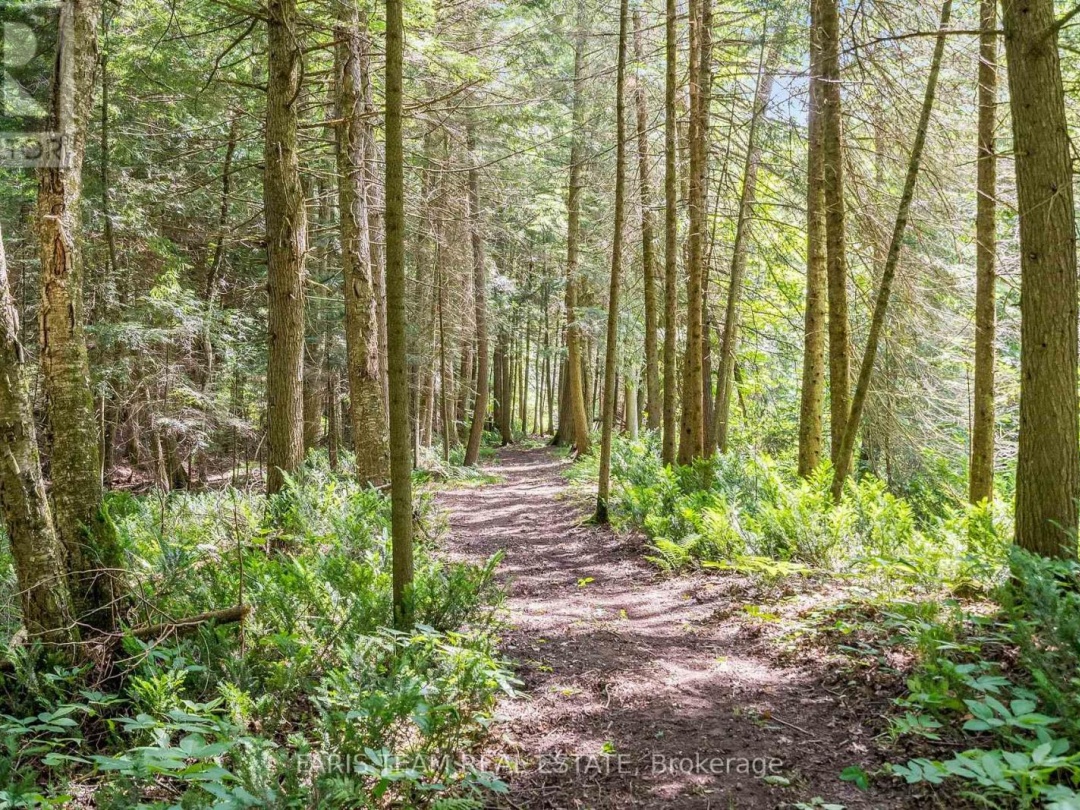 151 Mount Saint Louis Road E, Coldwater Lake