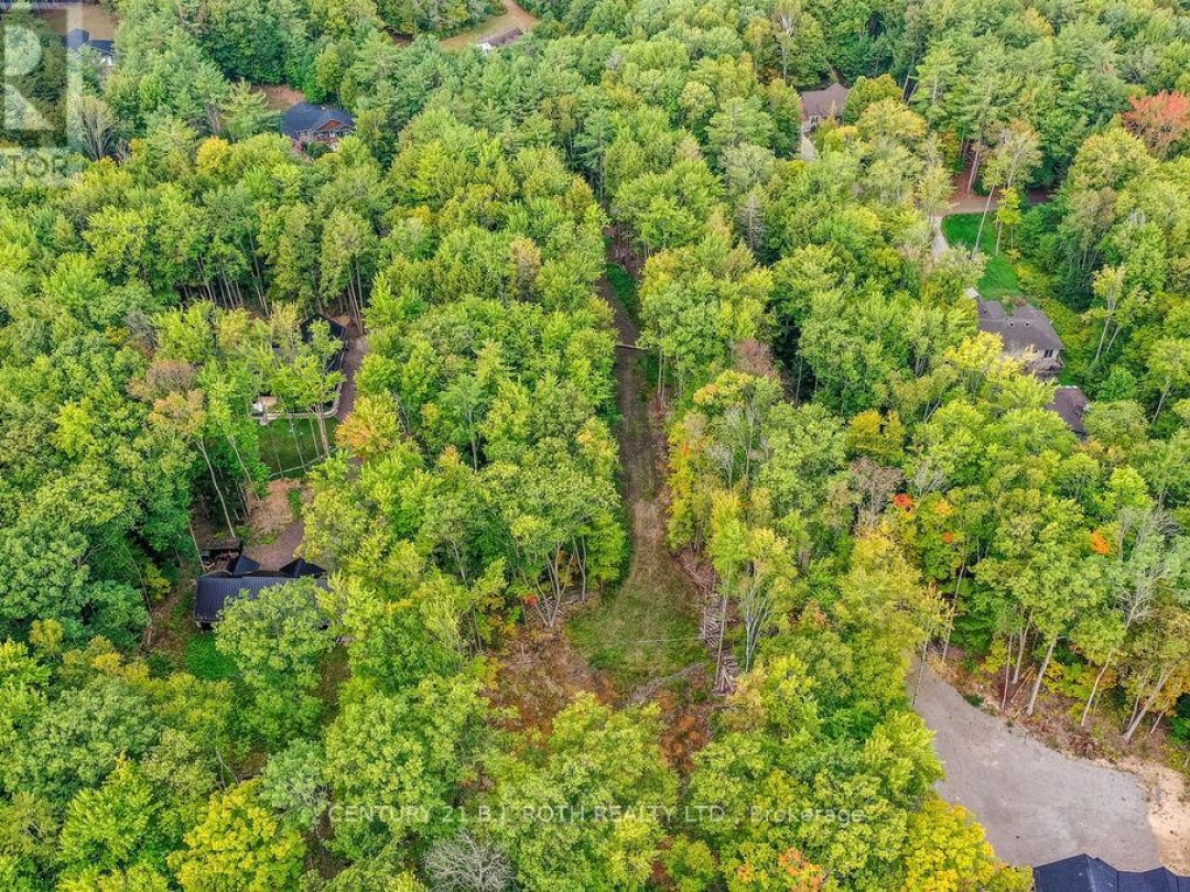 1019 DAVIS DRIVE, 