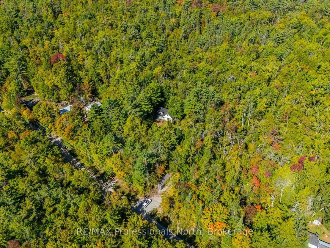 319 BOUNDARY ROAD, 