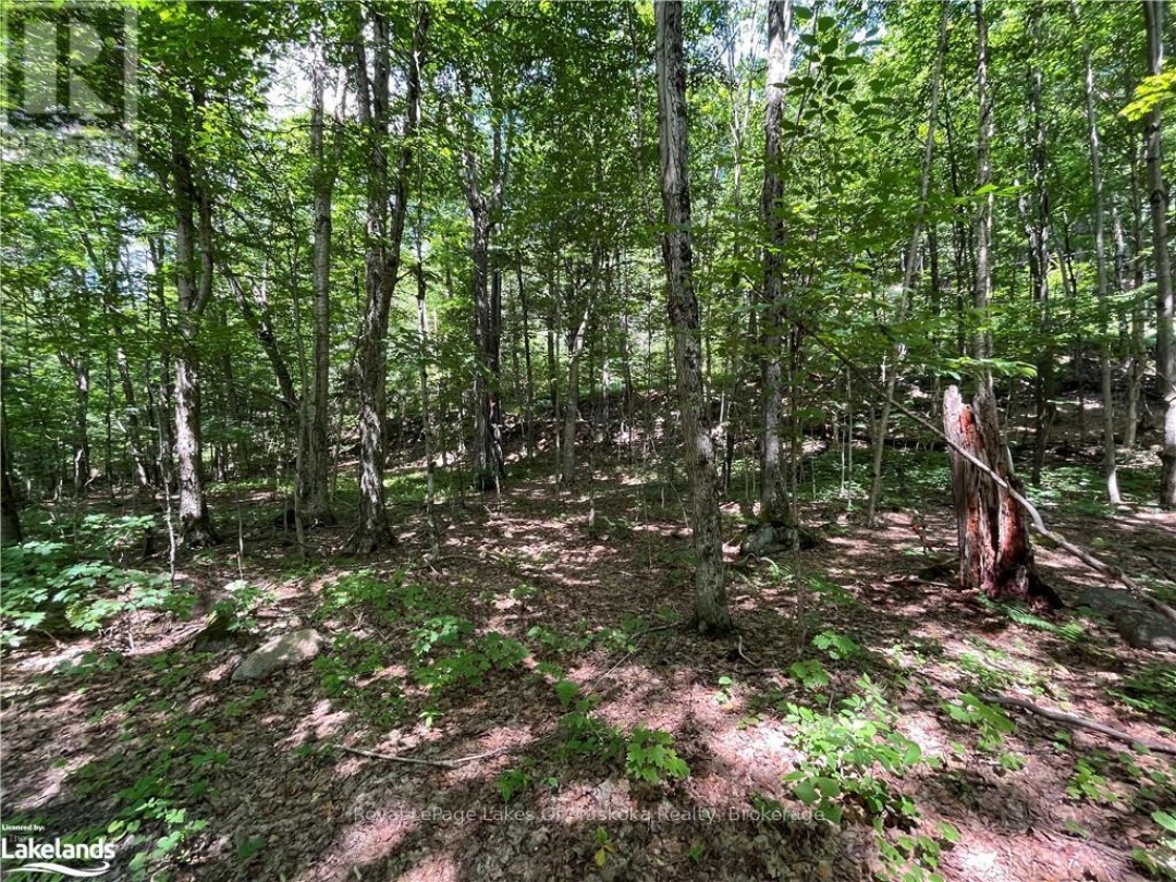 Lot 134 Brennan Circle, Lake Vernon