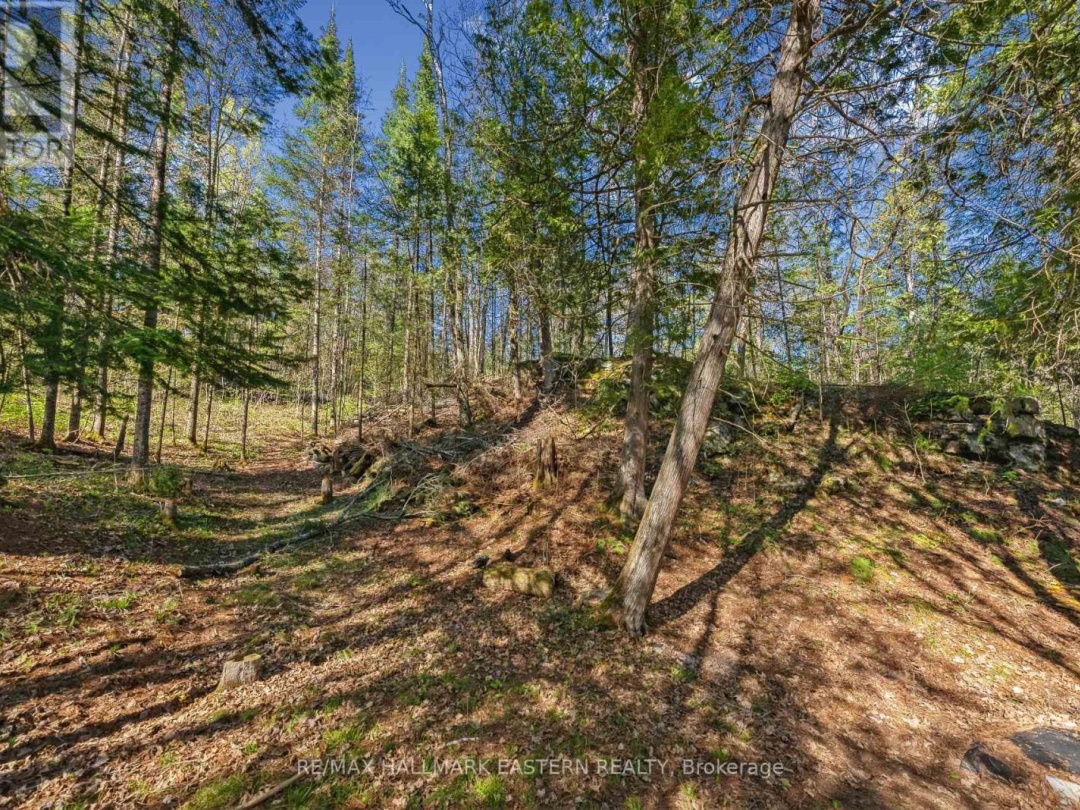 1025 DICKIES LANE, 