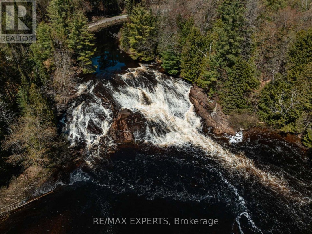 1216 MIRIAM DRIVE, Black River