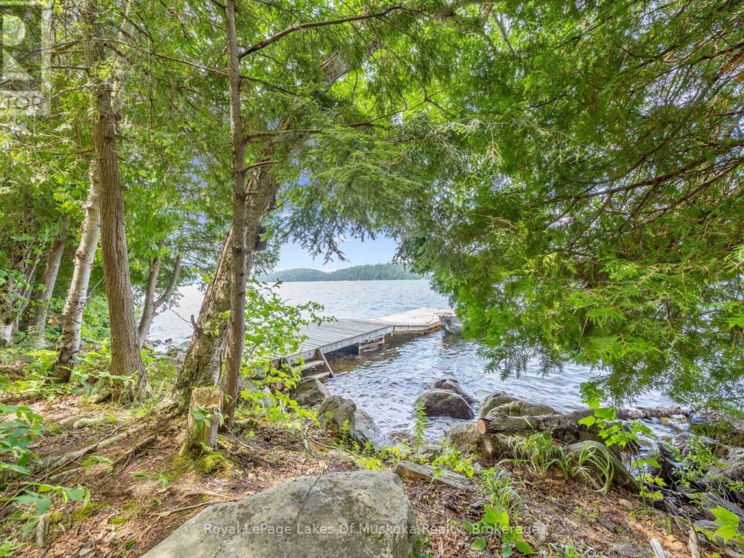 16368 KAWAGAMA-DENNISON ISLAND, Kawagama Lake