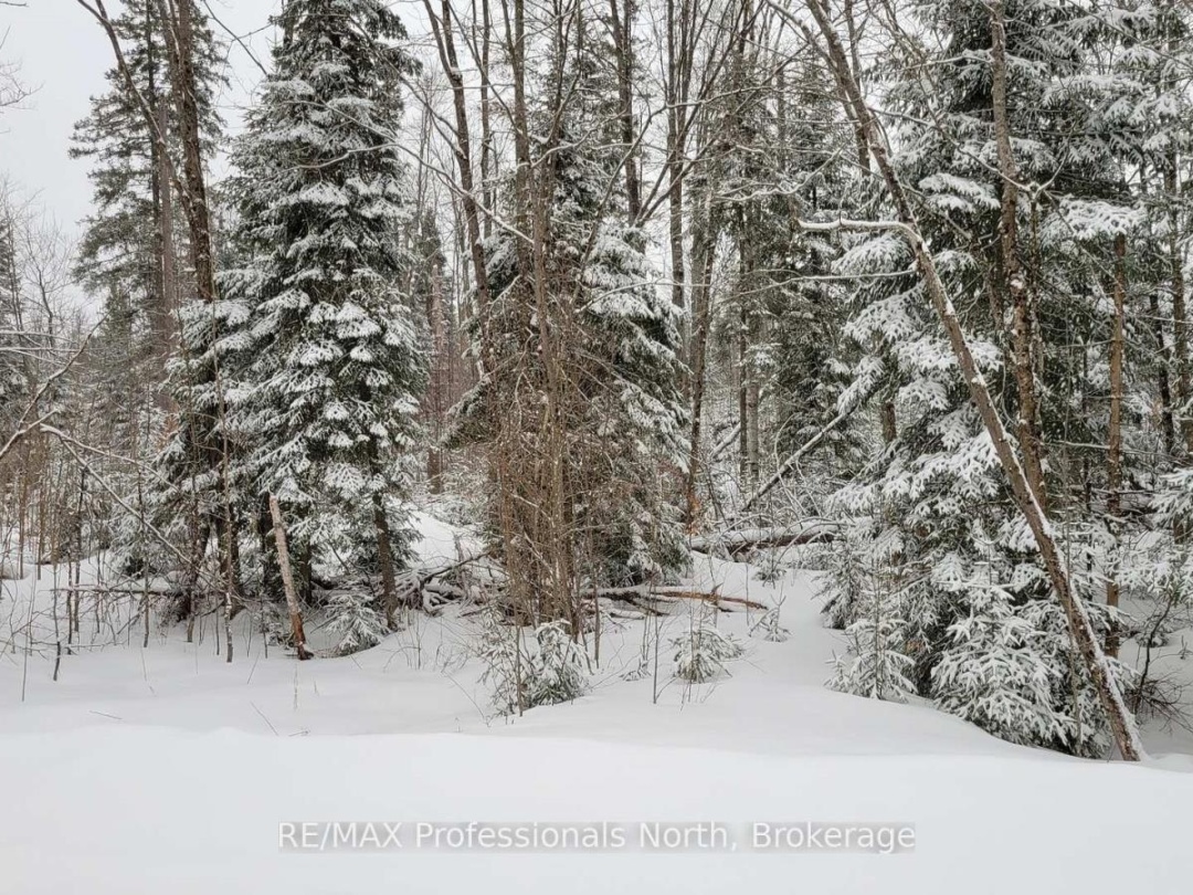Pcl 20438 & 29803 Upper Walker Lake Rd Road, Lake of Bays (Sinclair)