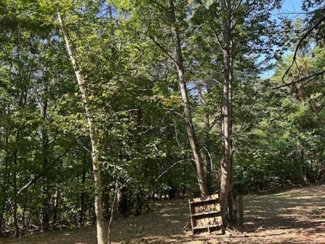 2875 COUNTY ROAD 21 ROAD, 