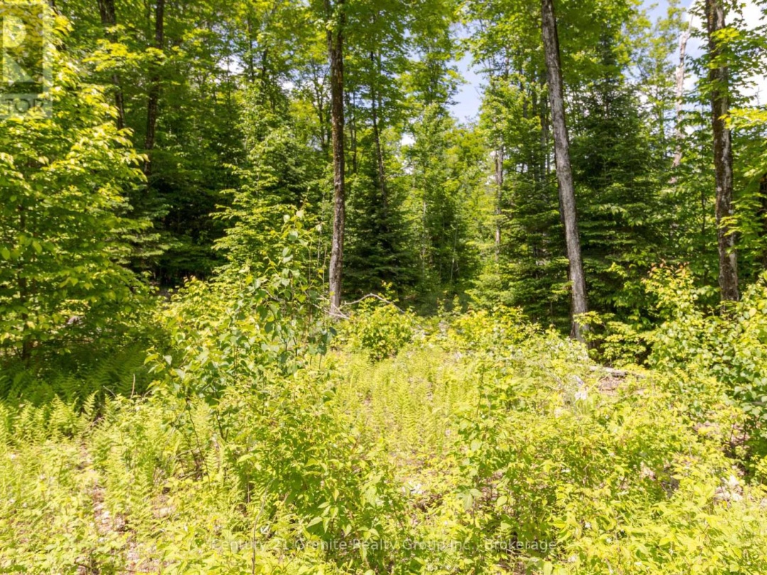 0 HALIBURTON LAKE ROAD, 