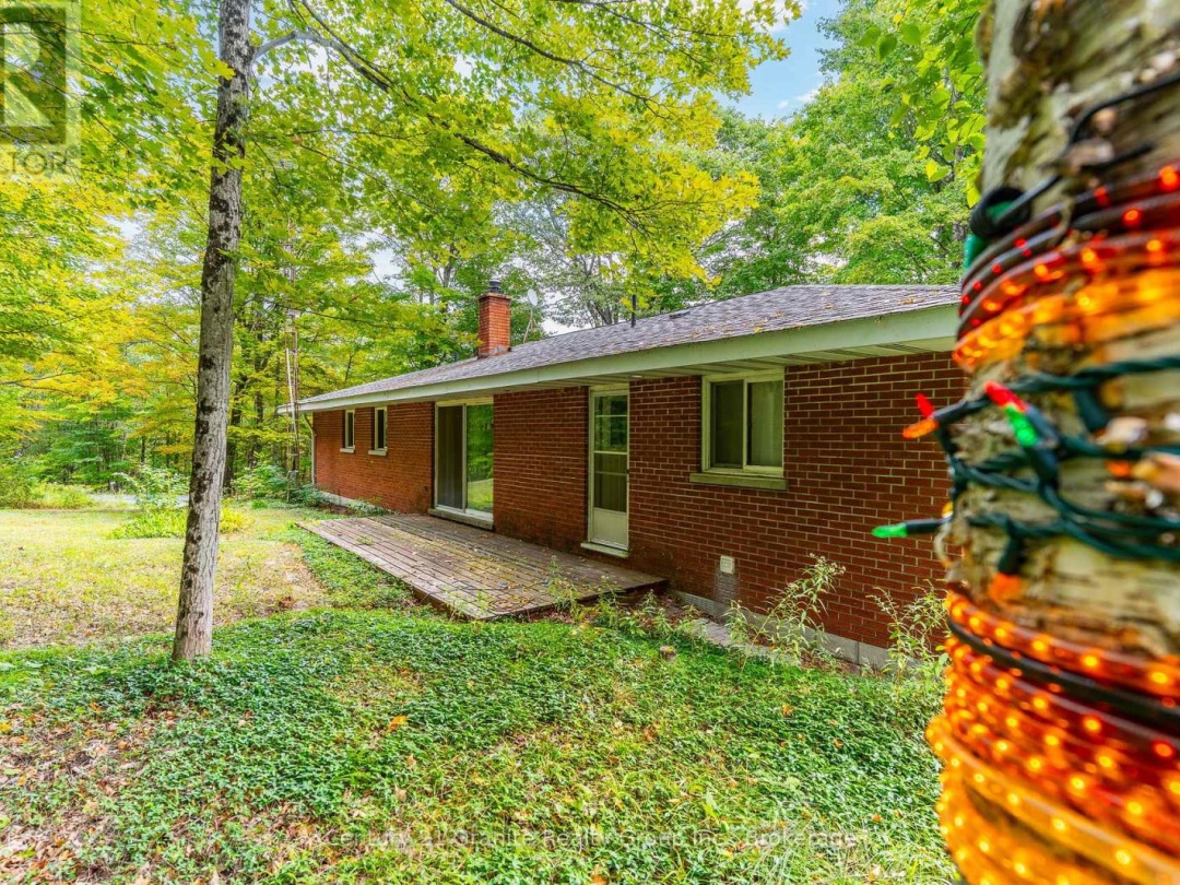1204 WALKER LINE ROAD, 