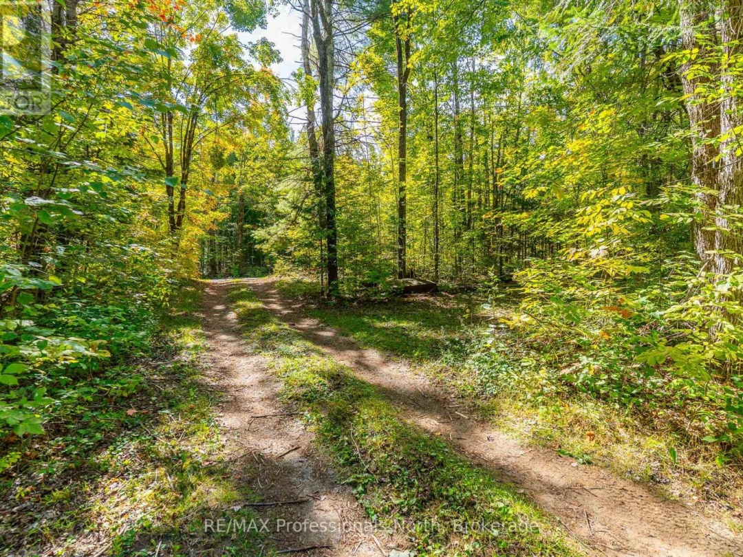319 BOUNDARY ROAD, 