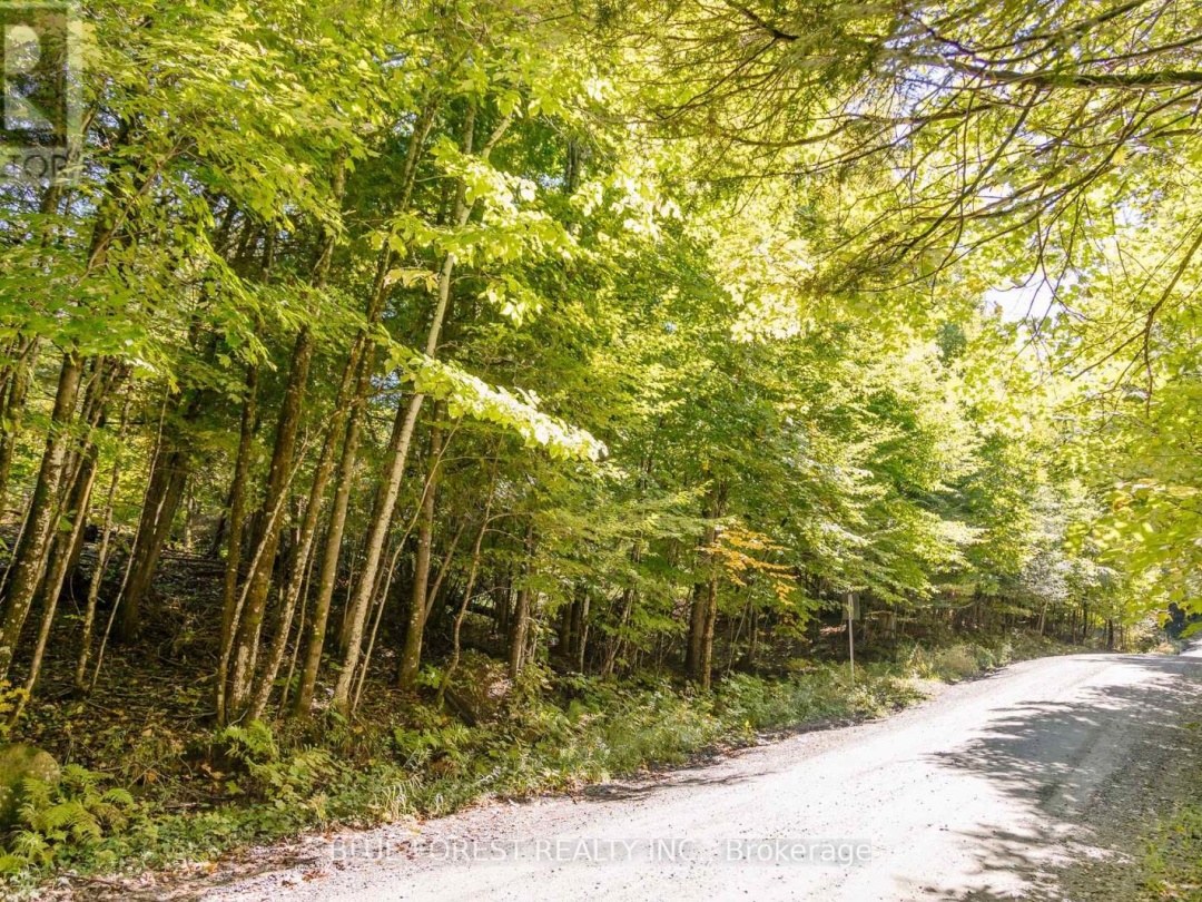 Lot 69 25Th Line, Maple Lake