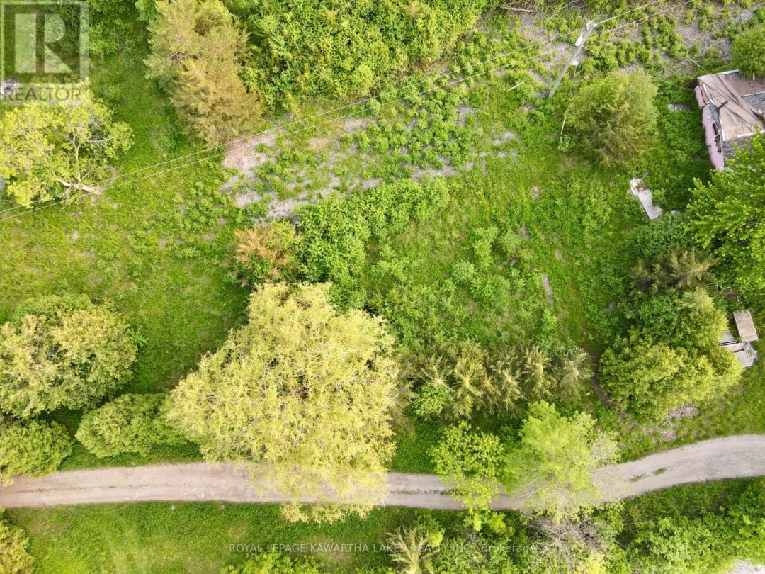 0 Shore Road, Simcoe Lake