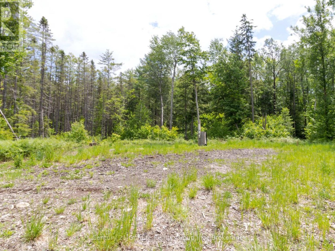0 HALIBURTON LAKE ROAD, 
