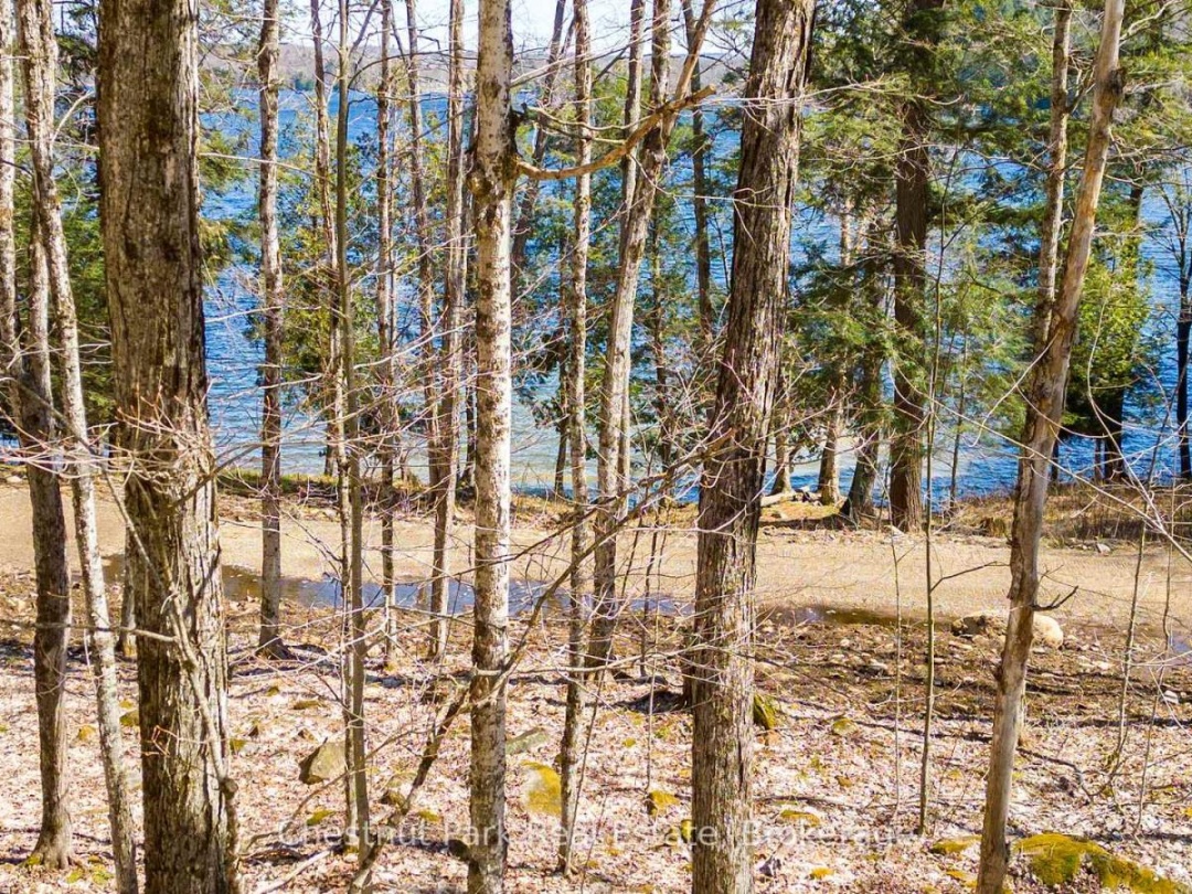 1091 OSBORNE POINT ROAD, 