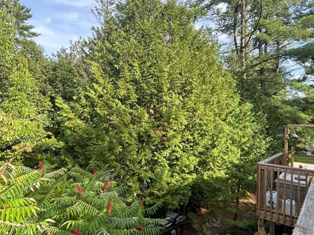 1169 NORTH KAHSHE LAKE ROAD, 