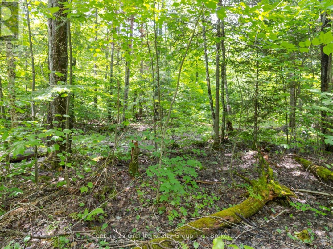 0 HALIBURTON LAKE ROAD, 