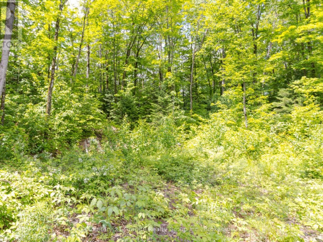 0 HALIBURTON LAKE ROAD, 