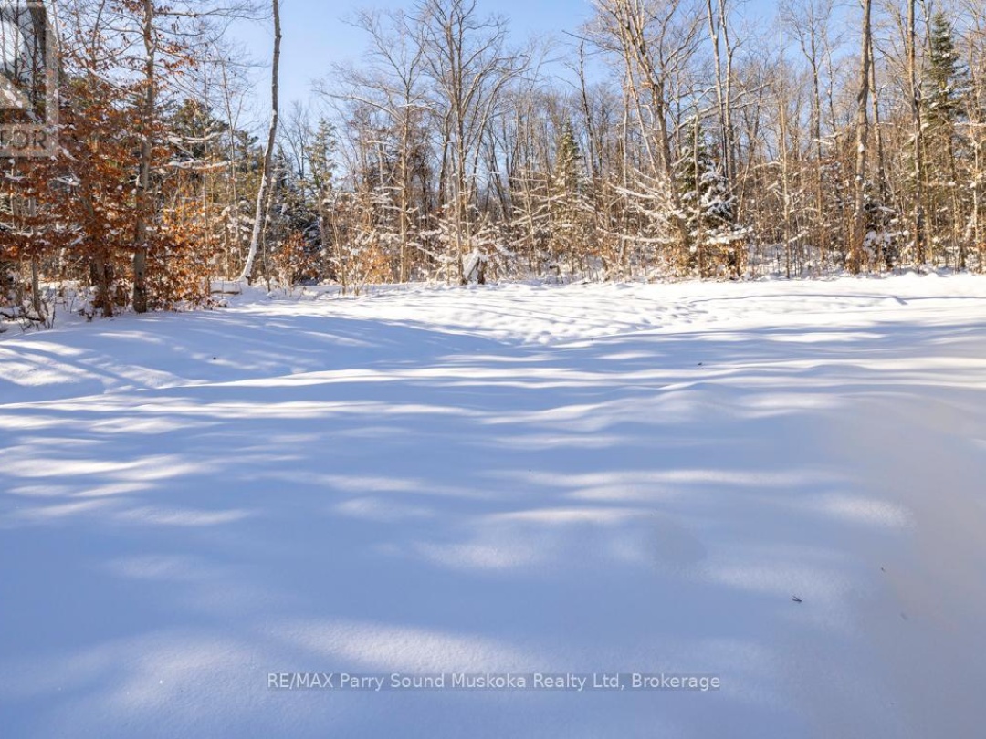 17 - 25 SEGUIN PLACE, 