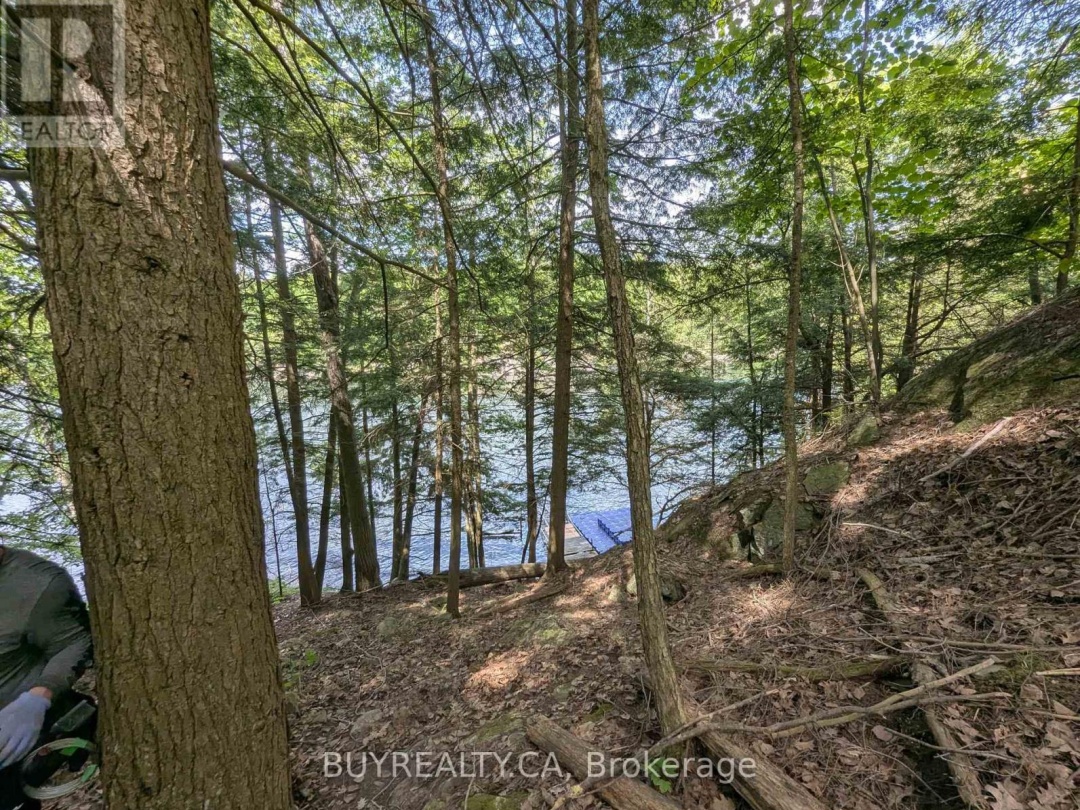 2318 SHERWOOD FOREST LANE, 