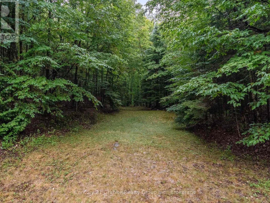 19221 HIGHWAY 118, 