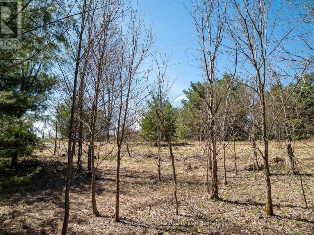 10 Alex Lane, Maple Lake