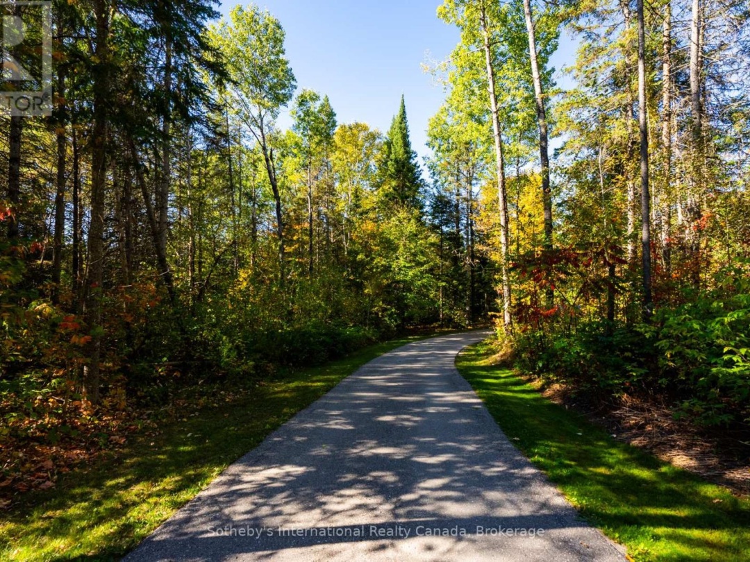 64 BOWYER ROAD, 