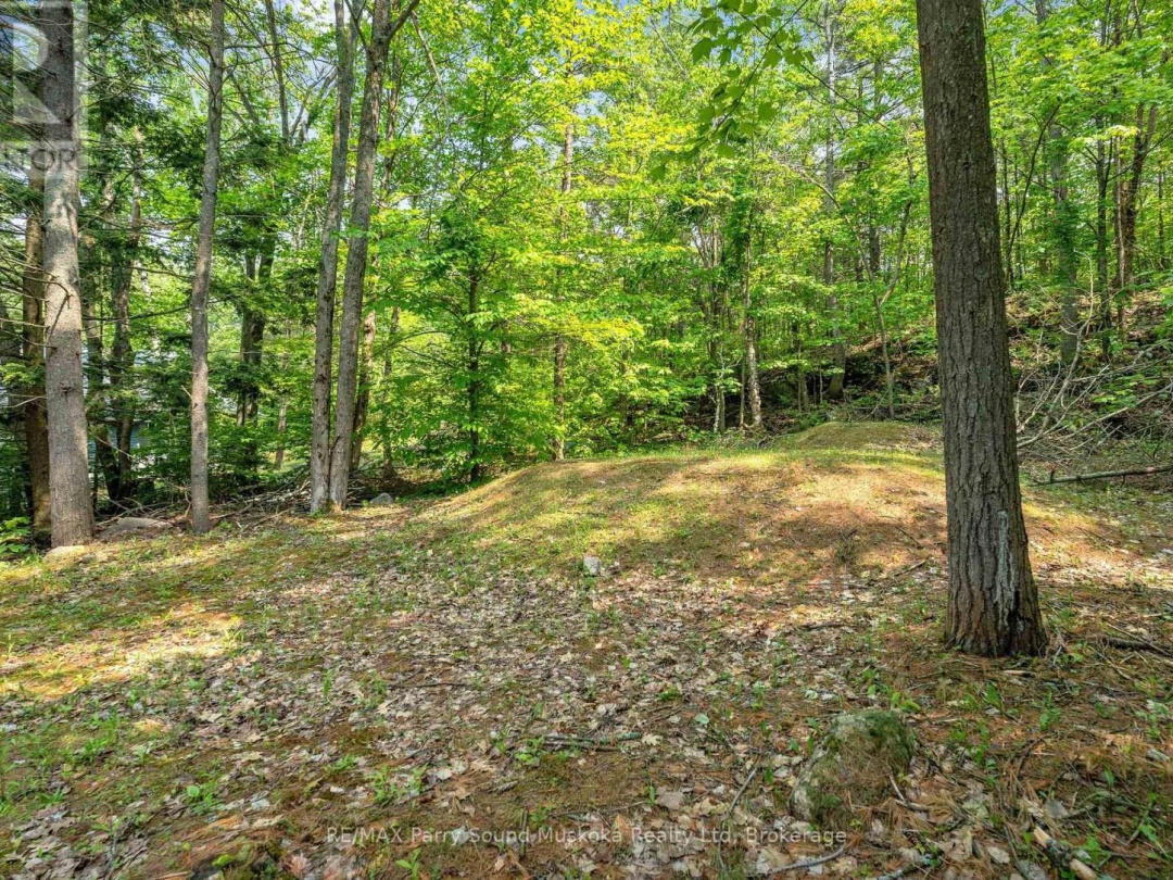 124 HEALEY LAKE WATER, 