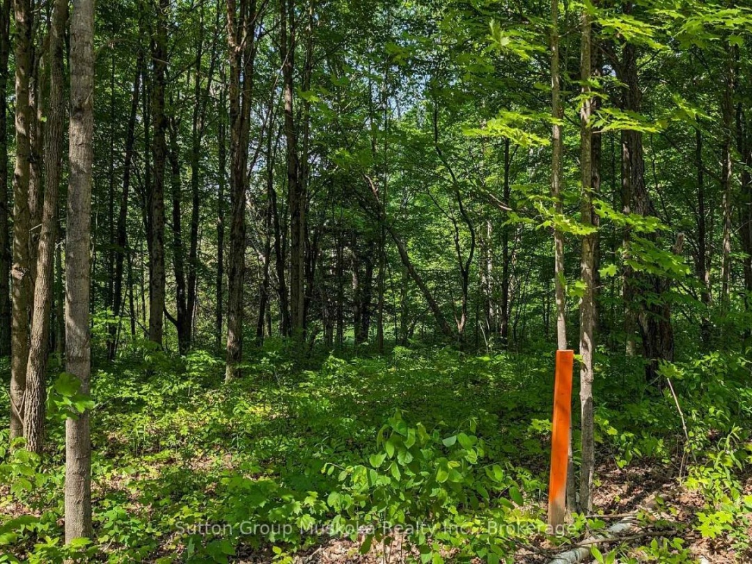 LOT 2 TALLY-HO WINTER PARK ROAD, 