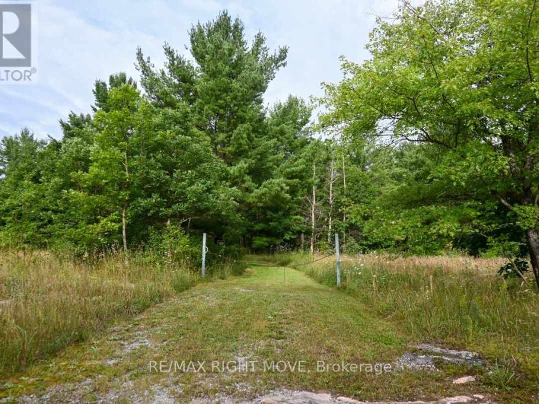 4544 BOWLES LANE, 