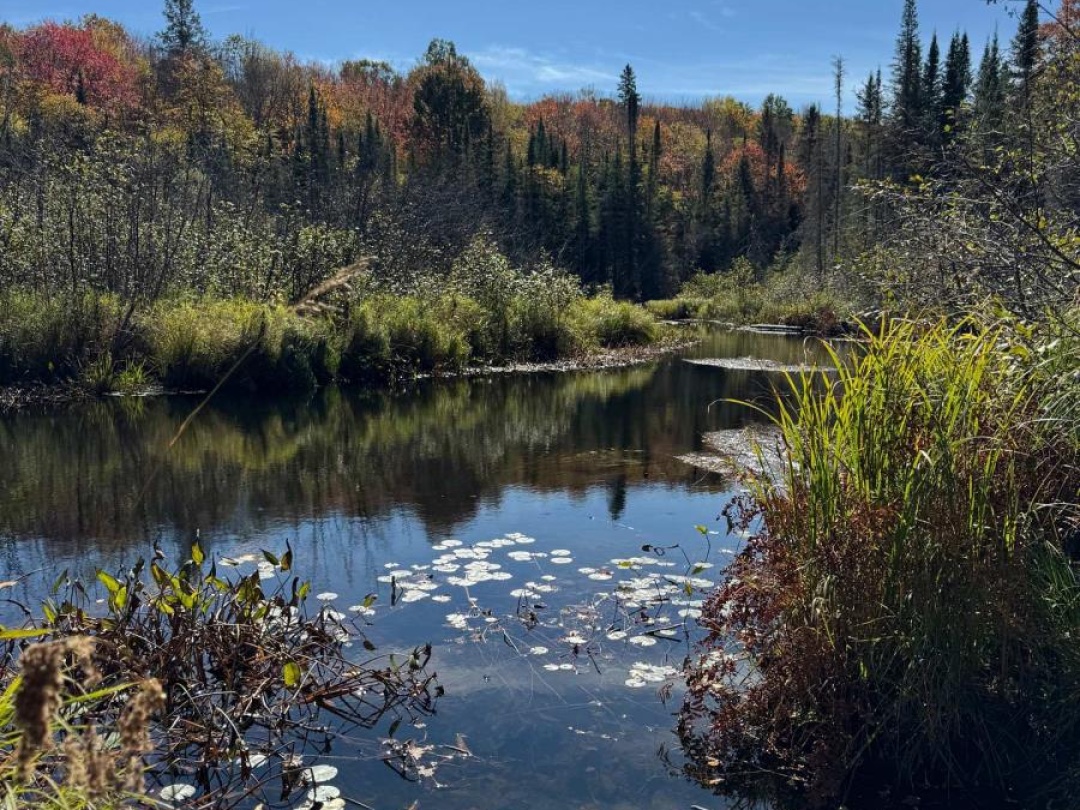 0000 KOSHLONG LAKE ROAD, 