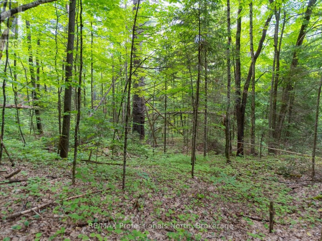 LOT 20 - 6 CONCESSION, 
