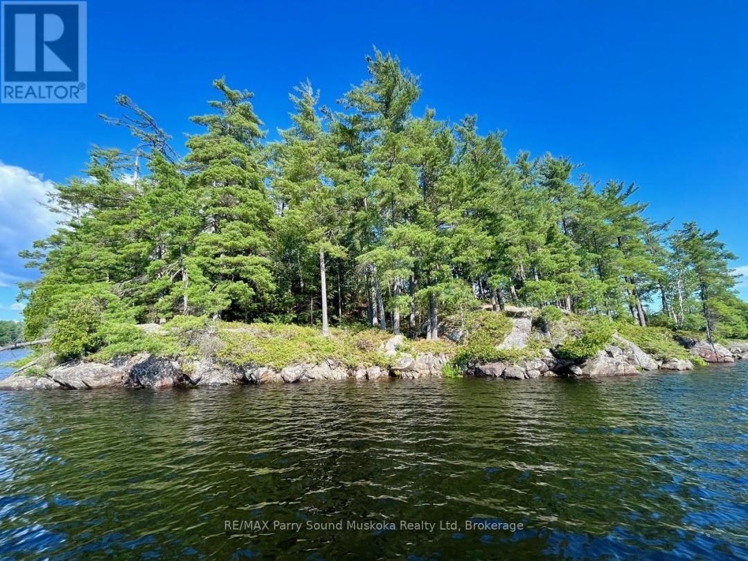 3 Sandy Hook, Wahwashkesh Lake