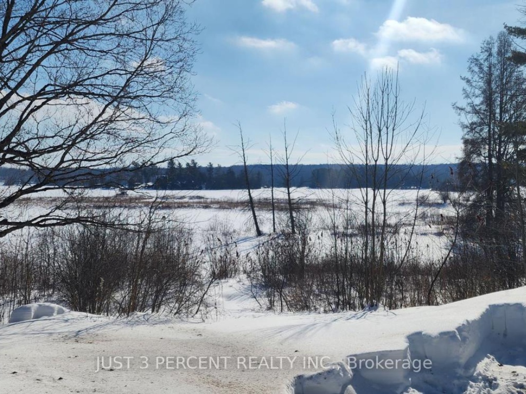 55 Northern Avenue, Little Bald Lake