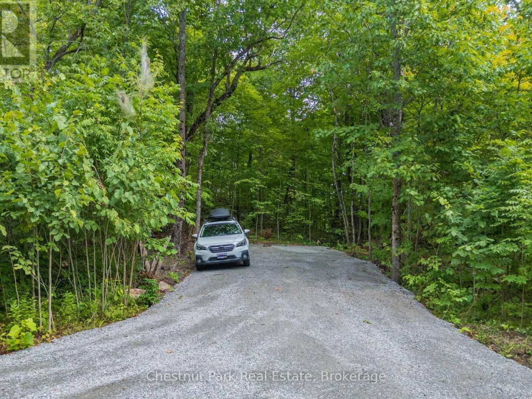 517 MOHAWK ROAD, 
