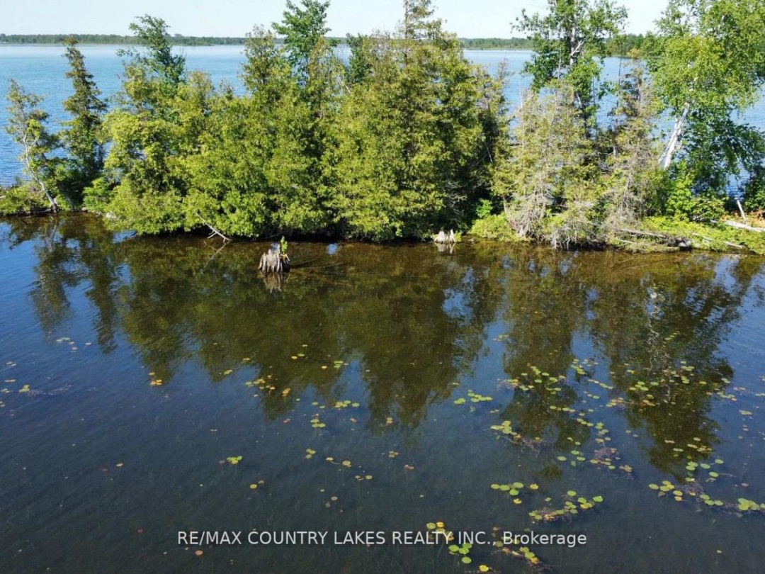 Lt 1 Island, Canal Lake