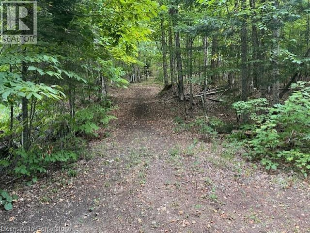 17182 HIGHWAY 118, 