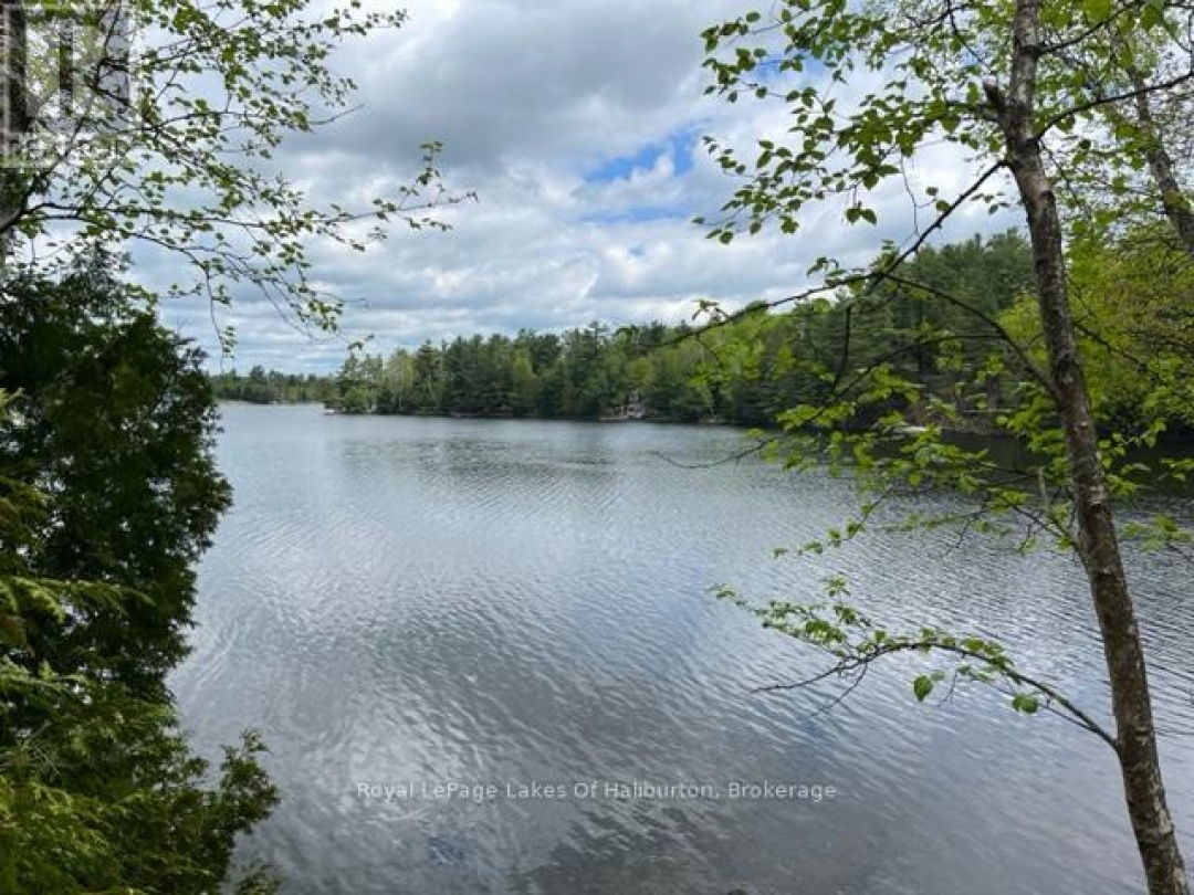 1183 Kendrick Creek Lane, South Lake