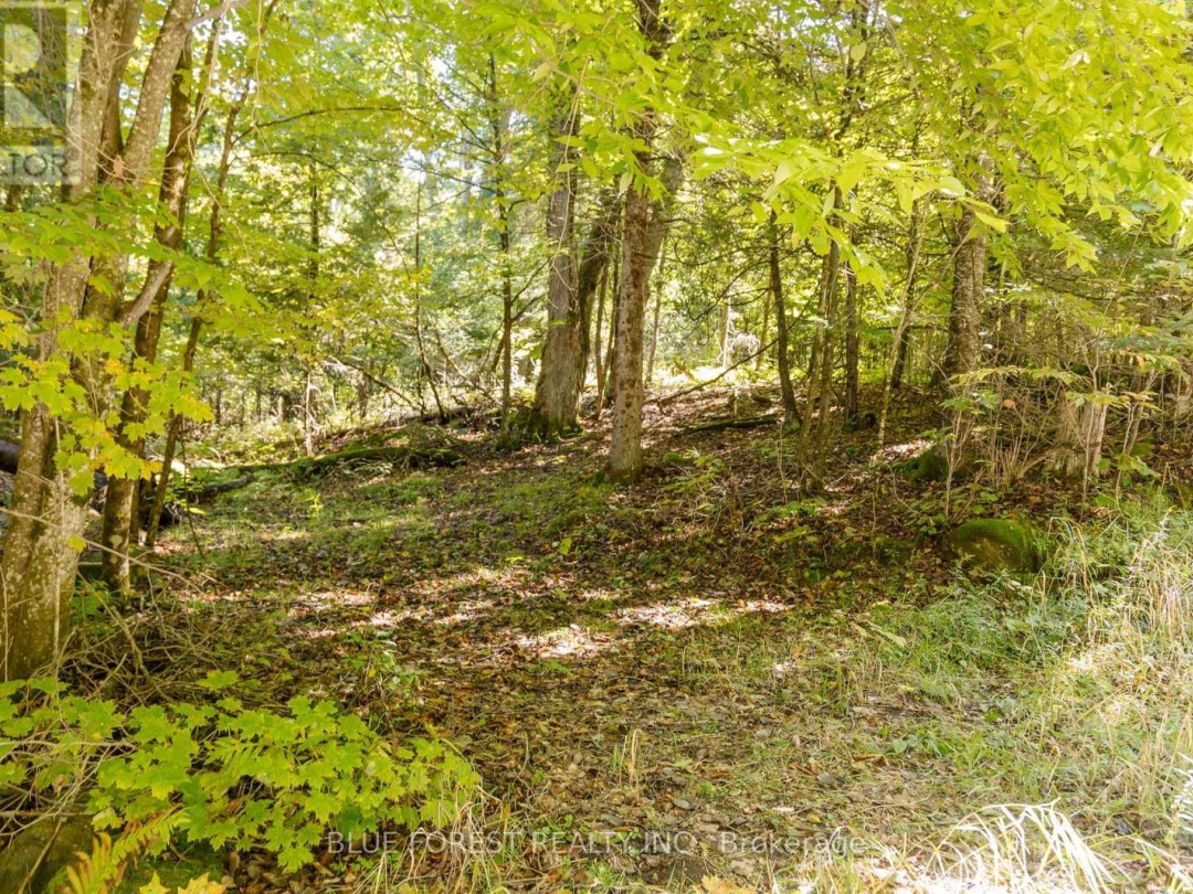 Lot 69 25Th Line, Maple Lake