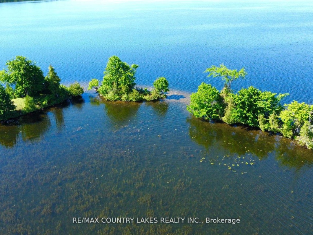 Lt 1 Island, Canal Lake