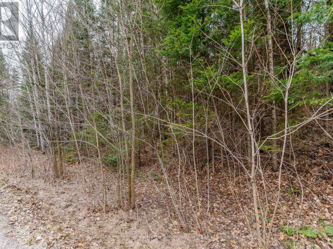 0 Glamorgan Road, Gooderham Lake