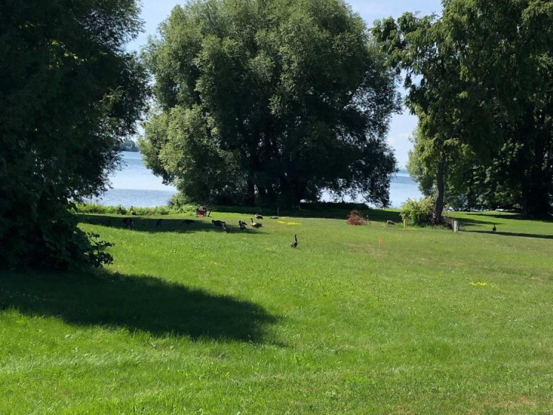 3786 Tuppy Drive, Simcoe Lake