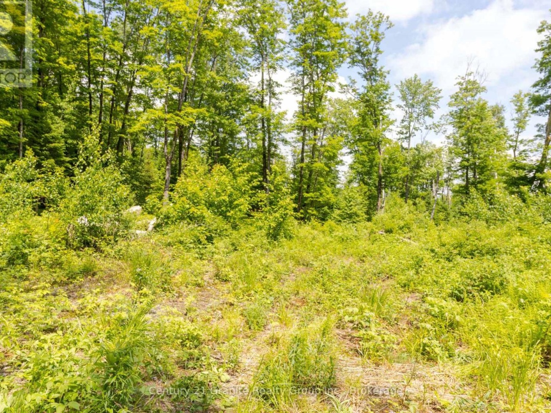 0 HALIBURTON LAKE ROAD, 