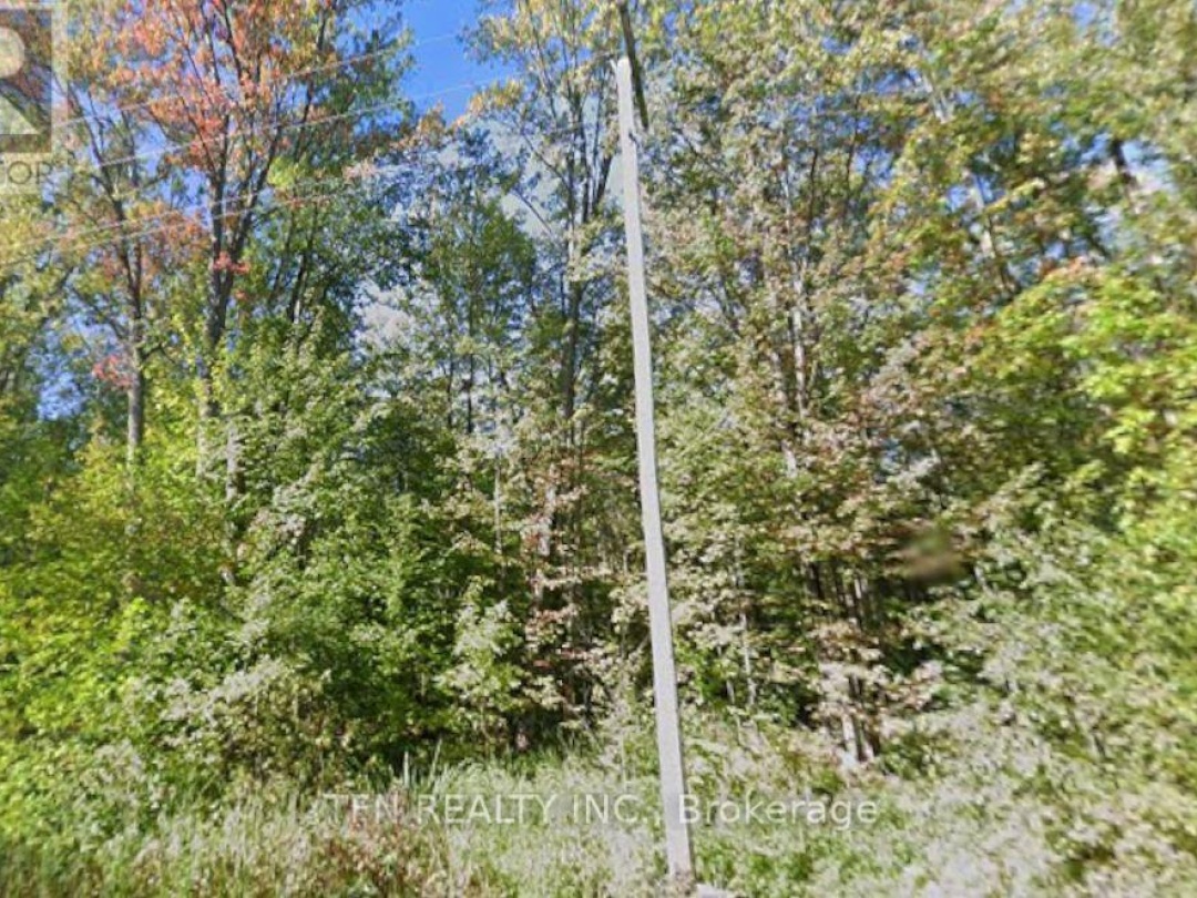 3676 SIDEROAD 20 ROAD, 