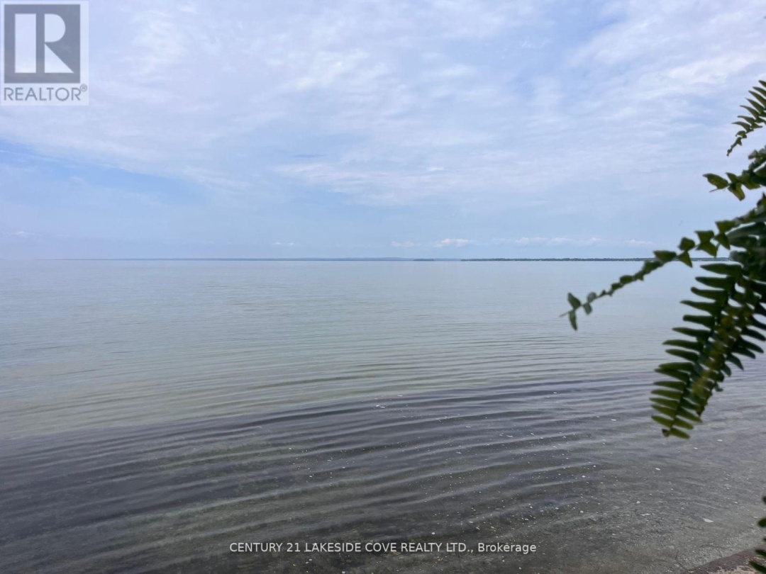 2730 LONE BIRCH TRAIL N, 