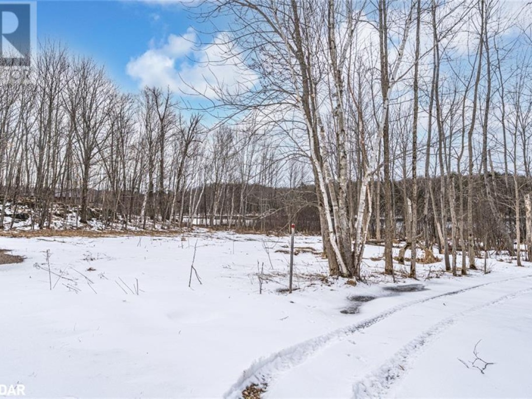 91B Highway 124, Mountain Basin Lake