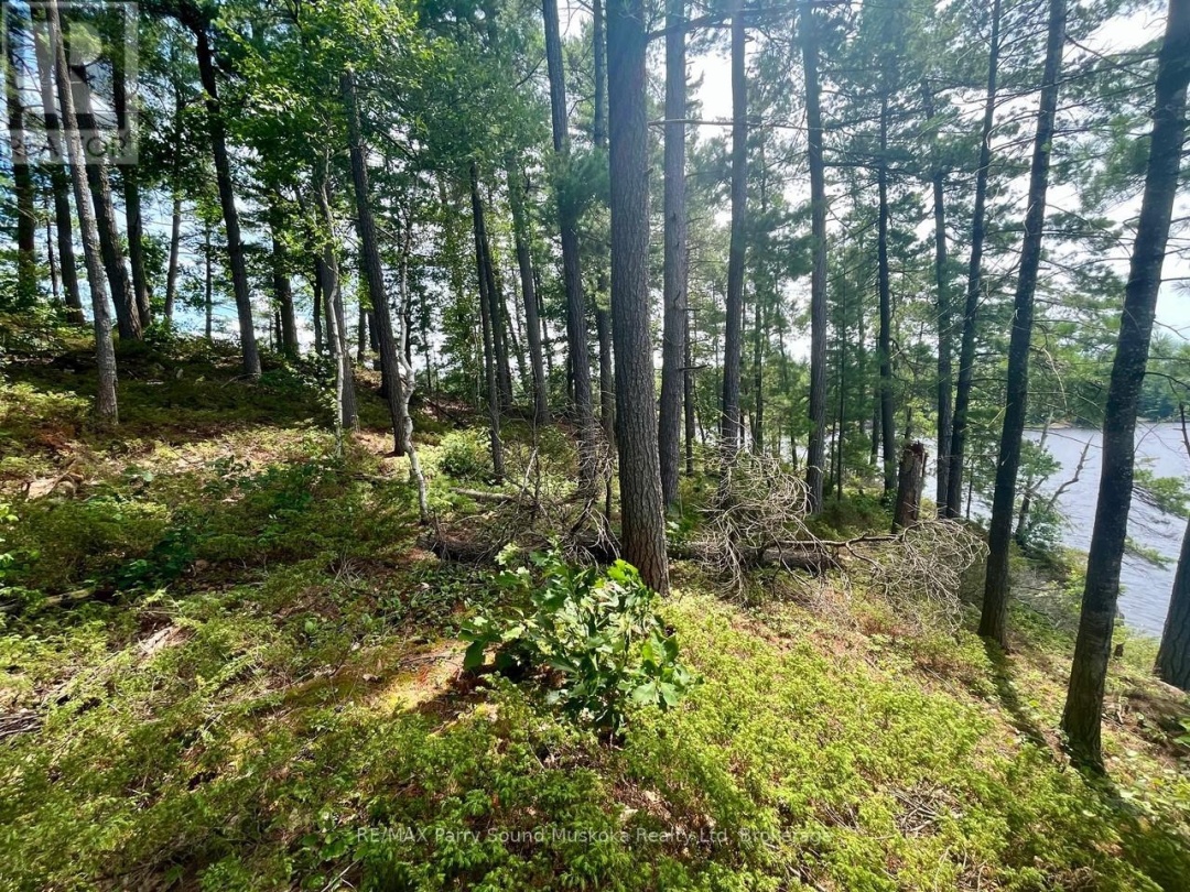 3 Sandy Hook, Wahwashkesh Lake