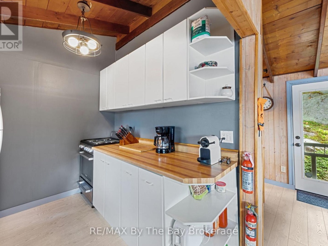 18588 GEORGIAN BAY SHORE, 
