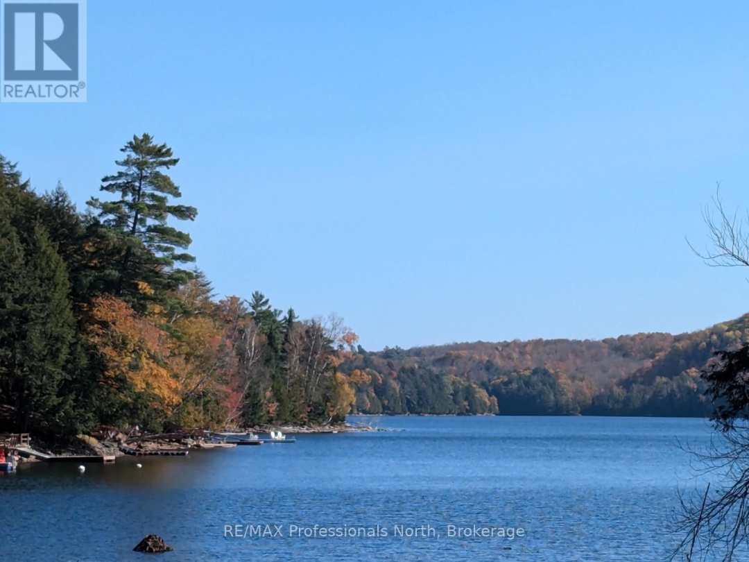 1039 MINK ROAD, Long Lake