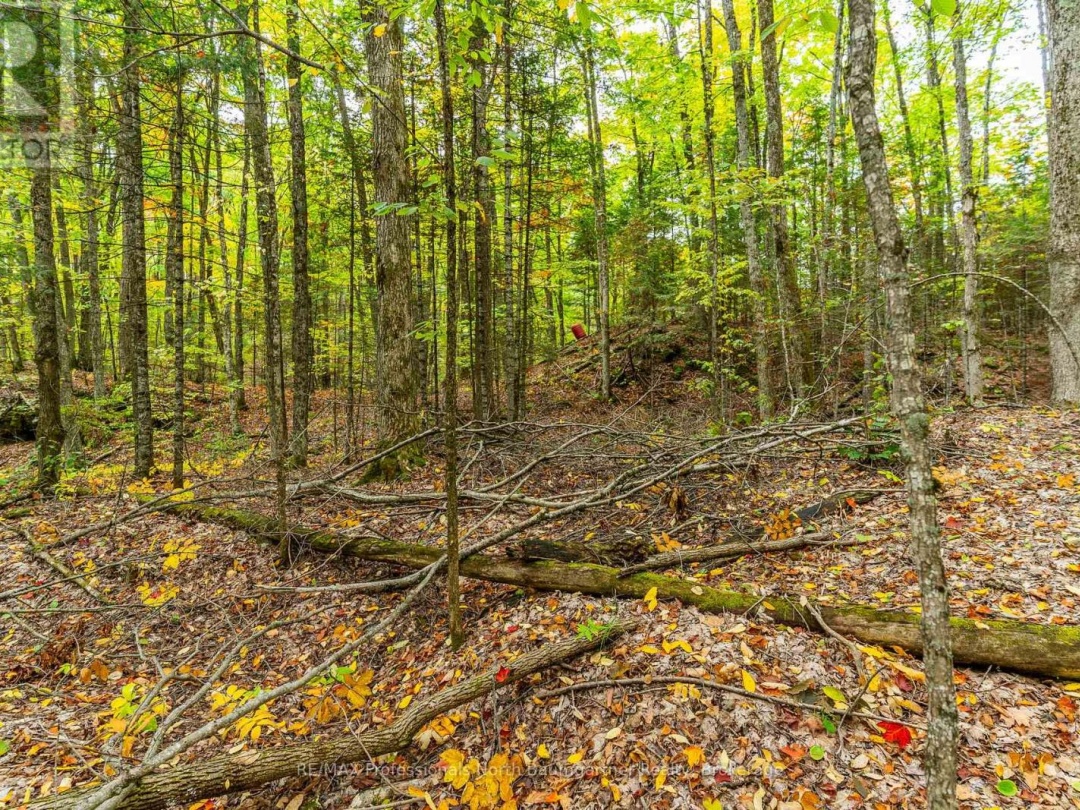 PART LOT 1 SALERNO LAKE ROAD, 