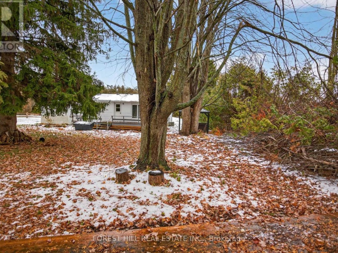 69 BLYTHE SHORE ROAD, Sturgeon Lake