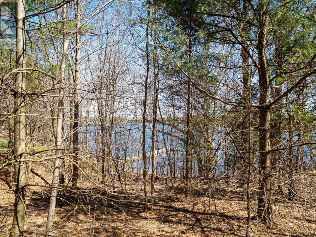 10 Alex Lane, Maple Lake